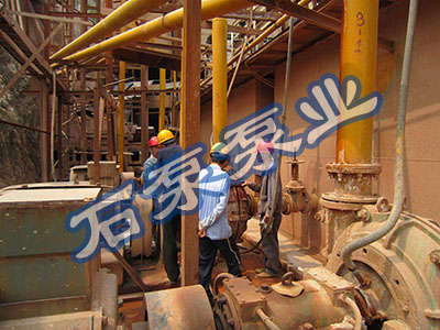 �Ͻ�ĳ���~�V�Ŀһ�� ZJ