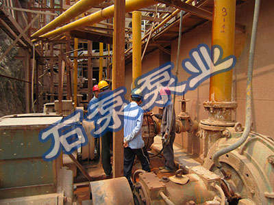 紫金某金銅礦項目一期 ZJ